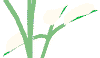 gif/plantstudio00000098.gif